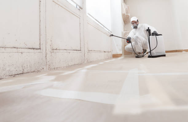 24/7 Emergency Mold Remediation experts in Elkwood, VA